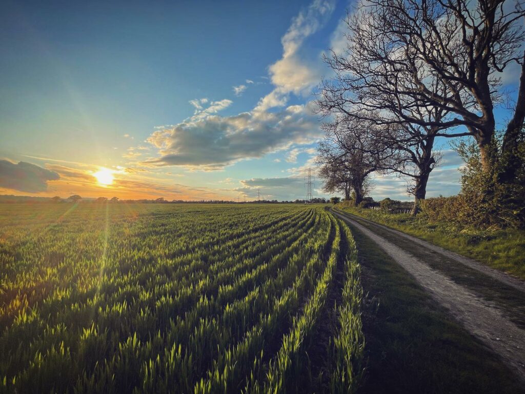 Evening cycle on the MTB where there is no camera (in this case iPhone) that can do these wild views justice ☀️ 🌳

#mtb #mtb29er #mtbcycle #cycling #cyclingsunset #cyclist #exercise #fitness #trees #countryside #fields #newbury #berkshire #newburytoday