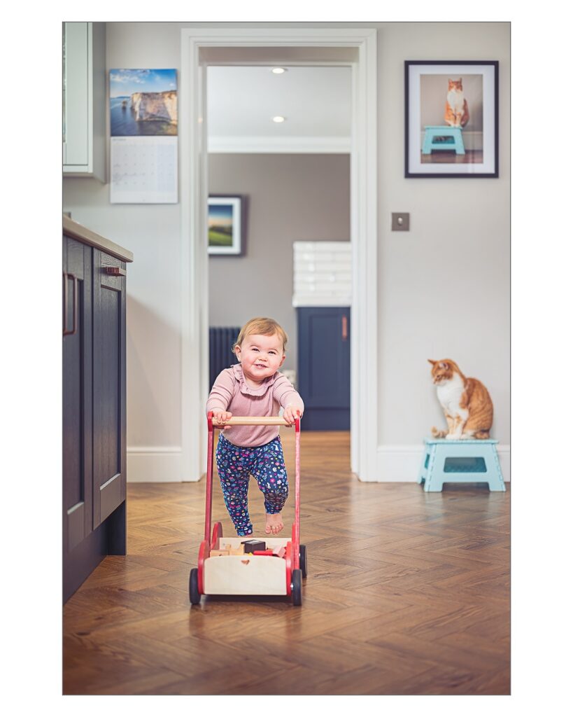 Almost walking - an excited and happy Jose &amp; Marvel the Cat 🐈 

#walking #almostwalking #happy #cats #familycat #gingercat #excited #smiling #progression #improvement #commitment #family #candid #candidphotography #candidphoto #kitchen #interiors #nikonz8 #nikonz5018s #50mm #nikonuk #newbury #berkshire