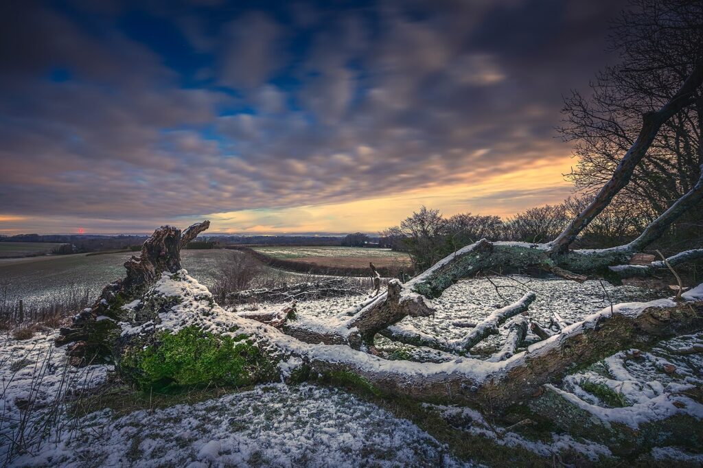 Combe Gibbet winter walks in the snow at dusk 🌅 🌳

#combegibbet #newbury #berkshire #landscape #landscapephotography #landscapephoto #longexposure #nighttime #nighttimephotography #longexposure_shots #snow #nature #nikonuk #nikonz8 #nikonz1424mmf28 #photographer #landscapephotographer